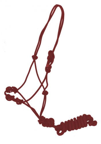 Training cowboy knot halter with four knot pressure points with removeable lead