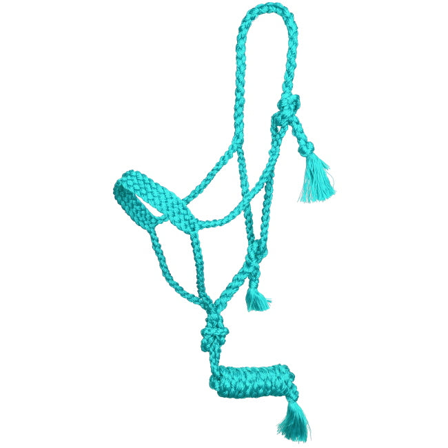 Mule tape halter with lead