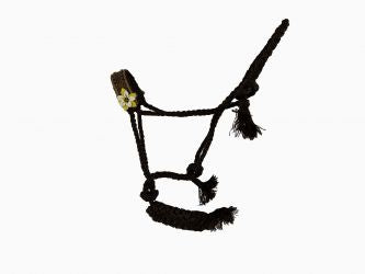 Design mule tape halter with lead