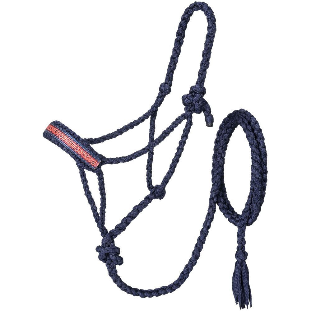 Design mule tape halter with lead