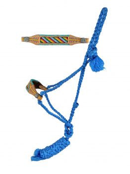 Design mule tape halter with lead