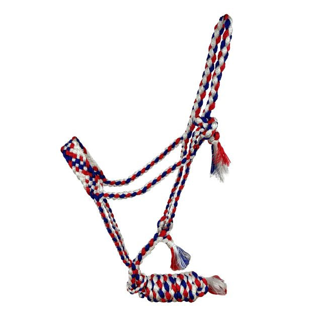 Mule tape halter with lead