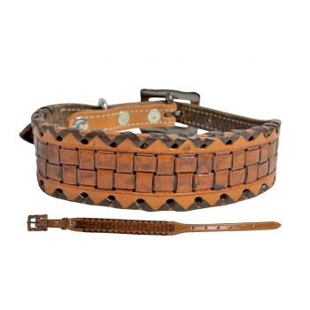 Medium leather designer dog collar
