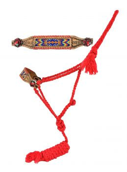 Design mule tape halter with lead