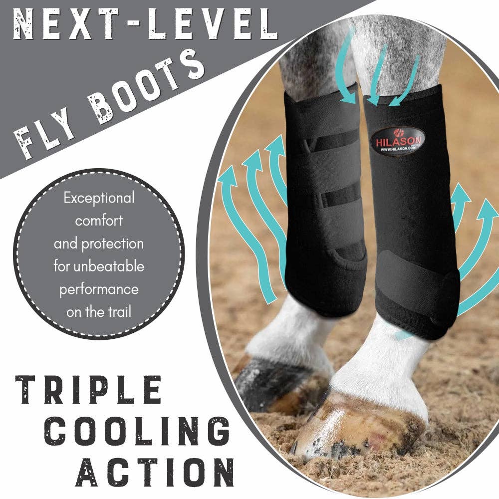 Hilason Horse front Leg Sport Boots Blue / Large